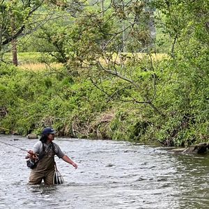 Meet your Posher, George
